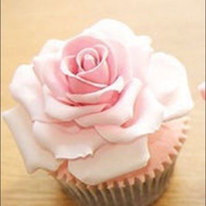 Meet your Posher, Jane